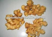 2012 fresh/dried/air ginger-at your demand,good service