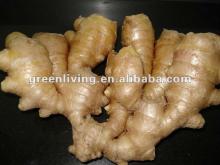 fresh ginger good chinese spicy