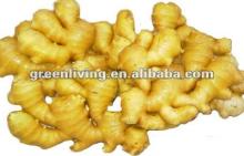 2012 fresh/dried ginger supply-- size,packing,price-according to the market change