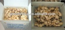 china air dry ginger specifications for sale