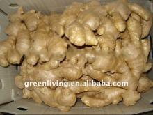 chinese spice----fresh ginger(200g)