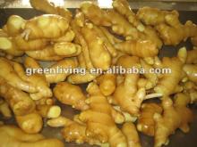 market price for fresh chinese ginger