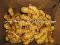 china ginger exporter(80-150g,150-250g)