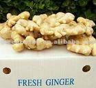  dried   red   ginger (calciuum bag,carton,mesh bag)