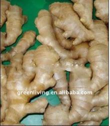 chinese spice----2011 fresh ginger(100-300g)
