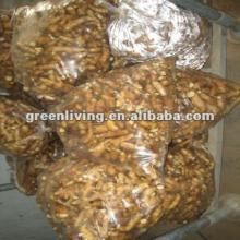 china fresh ginger for sale with low price