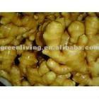dried ginger export price(calciuum bag,carton,mesh bag)