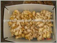 chinese fresh young mature yellow wet ginger