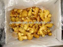 fresh ginger ---raw