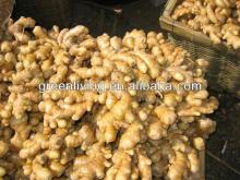 china ginger price 2012
