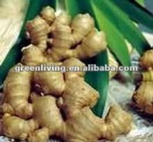 dried ginger 2012 clean cheap good service