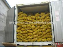 2012 new crop Chinese fresh ginger supplying