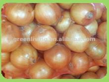 2012 best price Chinese fresh and dry ginger (healthy and Natural pollution-free)