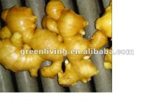 2012 clean air ginger in carton,calcium plastic box