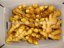 best price chinese fresh 10kg carton packing ginger(100-300g)