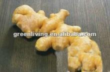 2012 shiny color skin air ginger of China--supply to you