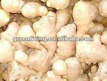 2012 unspoiled dried yellow skin ginger of China--supply to you