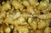 2012 clean air ginger in mesh bag,carton,calcium plastic box
