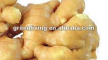2012 half dried ginger in mesh bag,carton,calcium plastic box