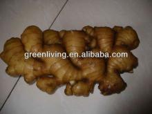 2012  fresh   garlic   ginger  and onion