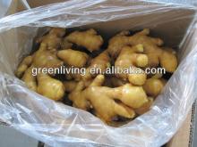 2013 fresh dried ginger 100g-150g