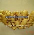 specification fresh ginger(80-150g,150g,200g&up)/top quality supplier