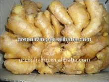fresh ginger for sale(80-150g,150g,200g&up)/top quality supplier