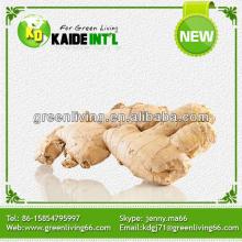 supply fresh air dry ginger for export (80-150g,150g,200g&up)/best quality