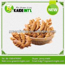 supply fresh ginger for export (80-150g,150g,200g&up)/best quality