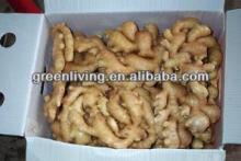  GINGER   EXPORT ER, fresh  ginger , air dried  ginger  30lbs PVC box