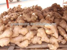 Aimee /air dried ginger for sale / spices export