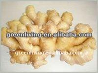 Fresh Chinese Ginger Supplier