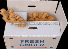 New Crop Fresh Ginger (Hot Sale) /fresh yellow color ginger