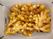 fresh ginger / ginger exporter / Aimee