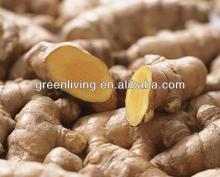 fresh ginger / ginger exporter / fresh air dried ginger