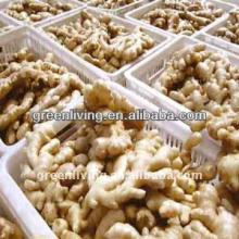 Current Price For New Crop Ginger