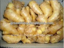 2012 new crop ginger-air dried ginger / fresh ginger- packed in mesh bag / carton / PVC box with goo