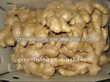 Chinese fresh ginger-air dried ginger, fat and thin ginger
