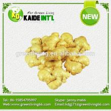 Best Price Ginger
