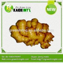 Special Fresh Laiwu Ginger