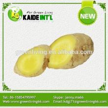 Special Natural Fresh Ginger