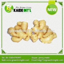 Special Fresh Vegetable Ginger Product