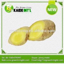 Organic Ginger Price