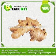 China Ginger Exporter Product
