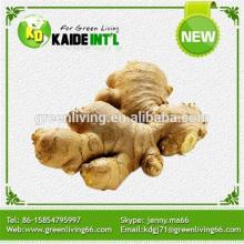 Fresh Ginger (50g-350g) In Mesh Bag Product