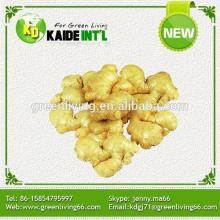 150-250g Fresh Young Ginger Product
