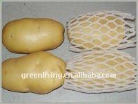 fresh chinese potato
