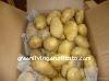 chinese fresh potato 100-250g