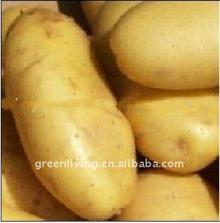 fresh potatoes 2010 crop