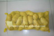 buy fresh potato of China
